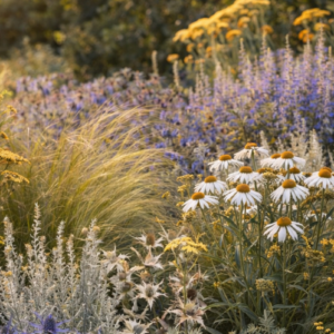 Alternative view of Naturalistic Garden Bed